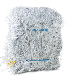 Shredded paper small Shredded paper small